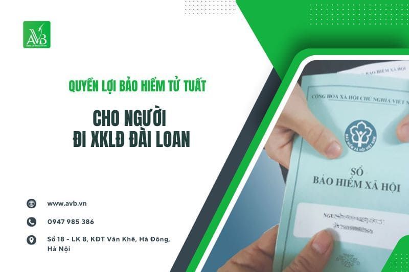 Công ty xuất khẩu lao động và du học AVB