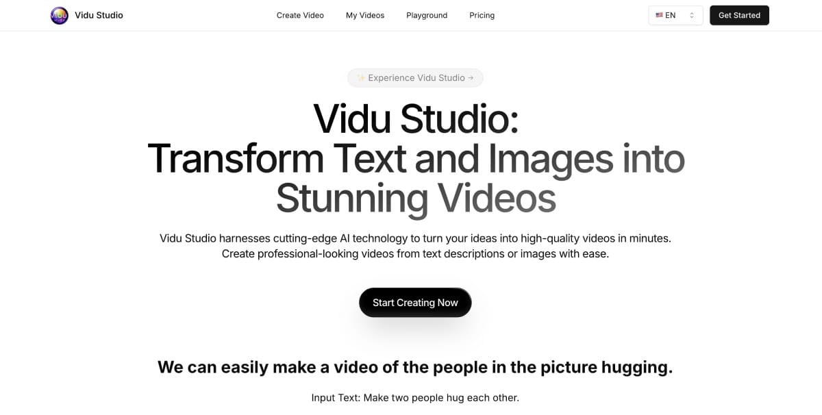 Vidu Studio