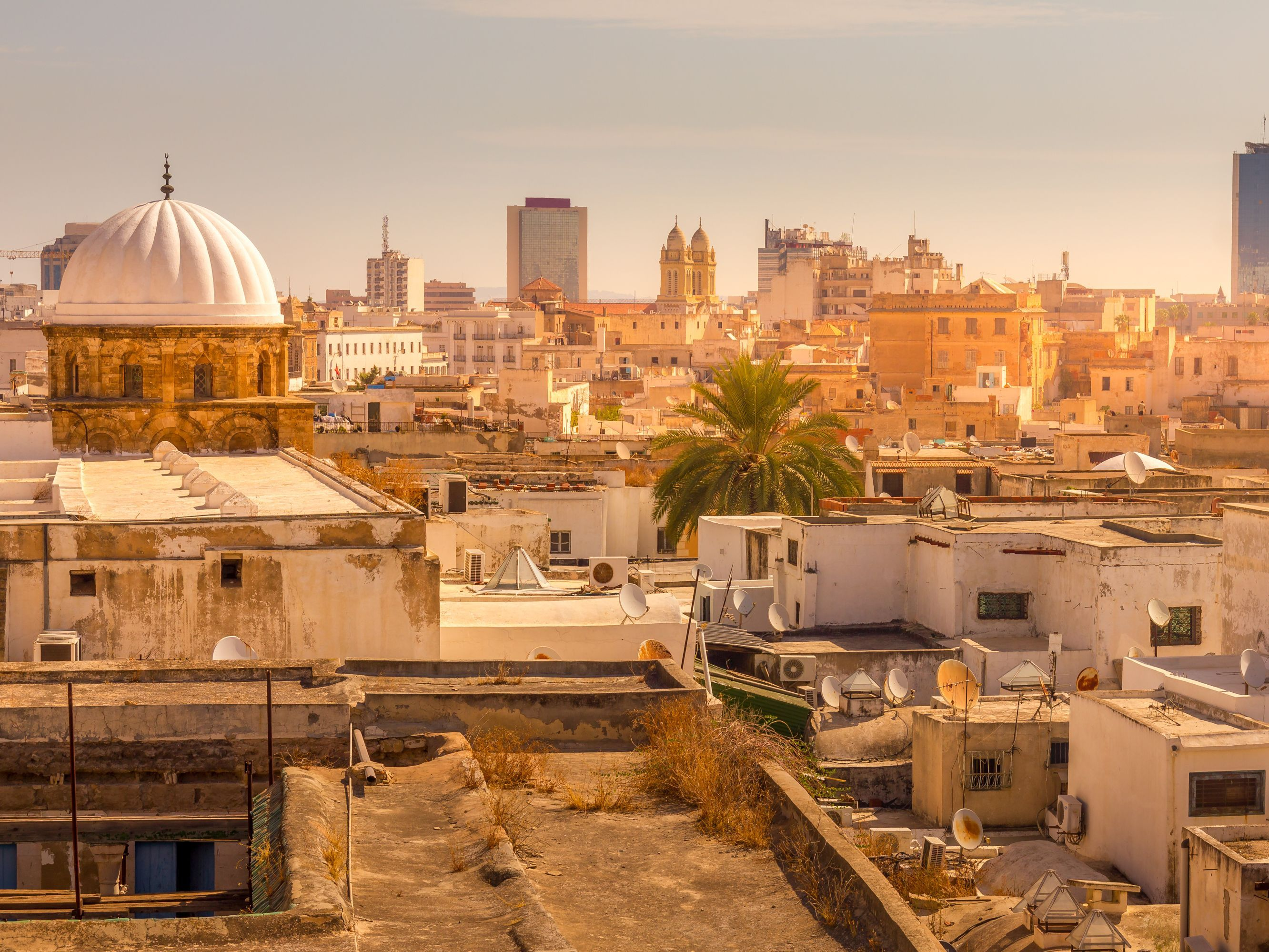Tunis