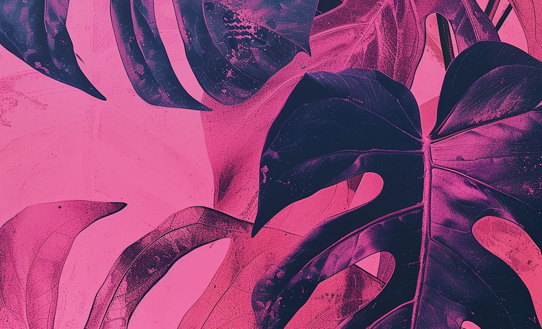 Suuri kasvi vaaleanpunaisella ja violetilla taustalla.