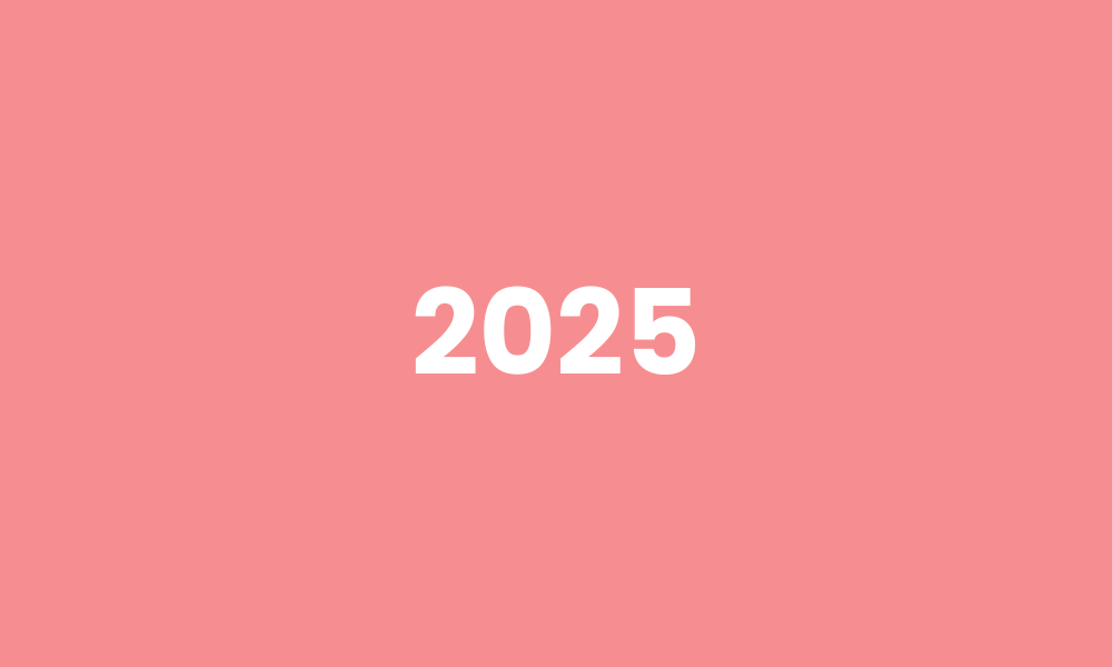 Chairperson’s Report 2025
