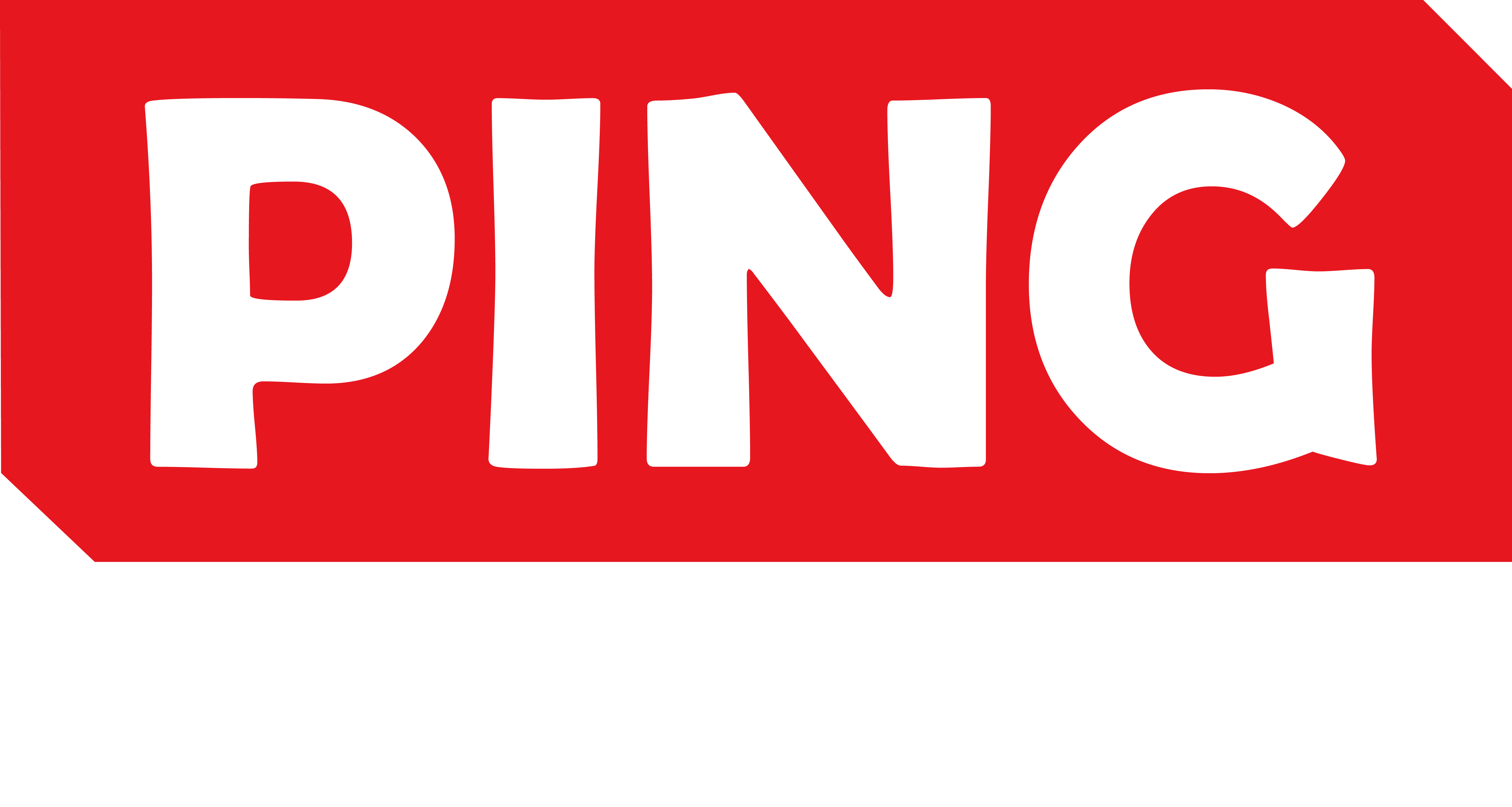 Ping Network (Ping Digital Broadcast Private Limited) logo