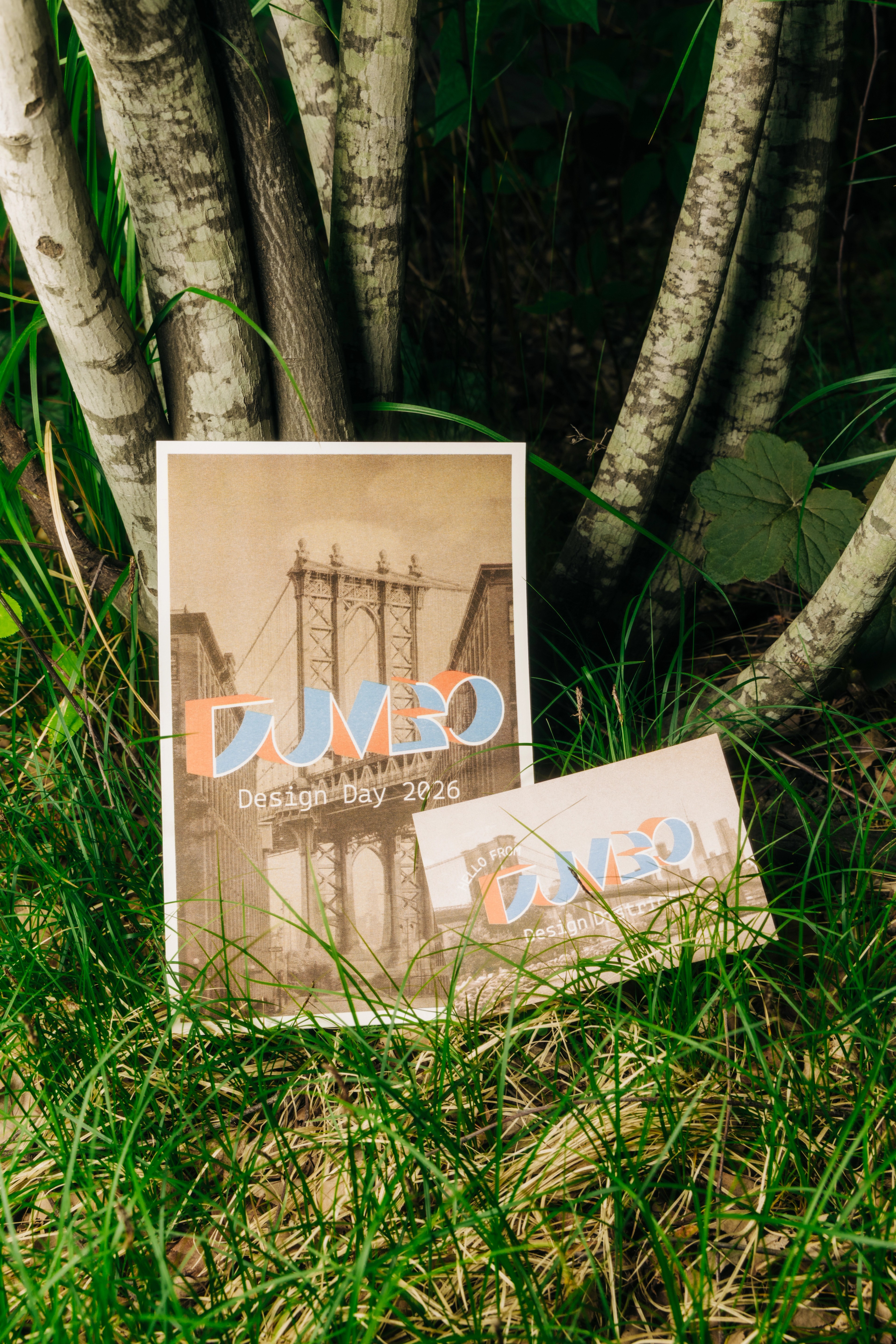 Dumbo Design Day paper guide