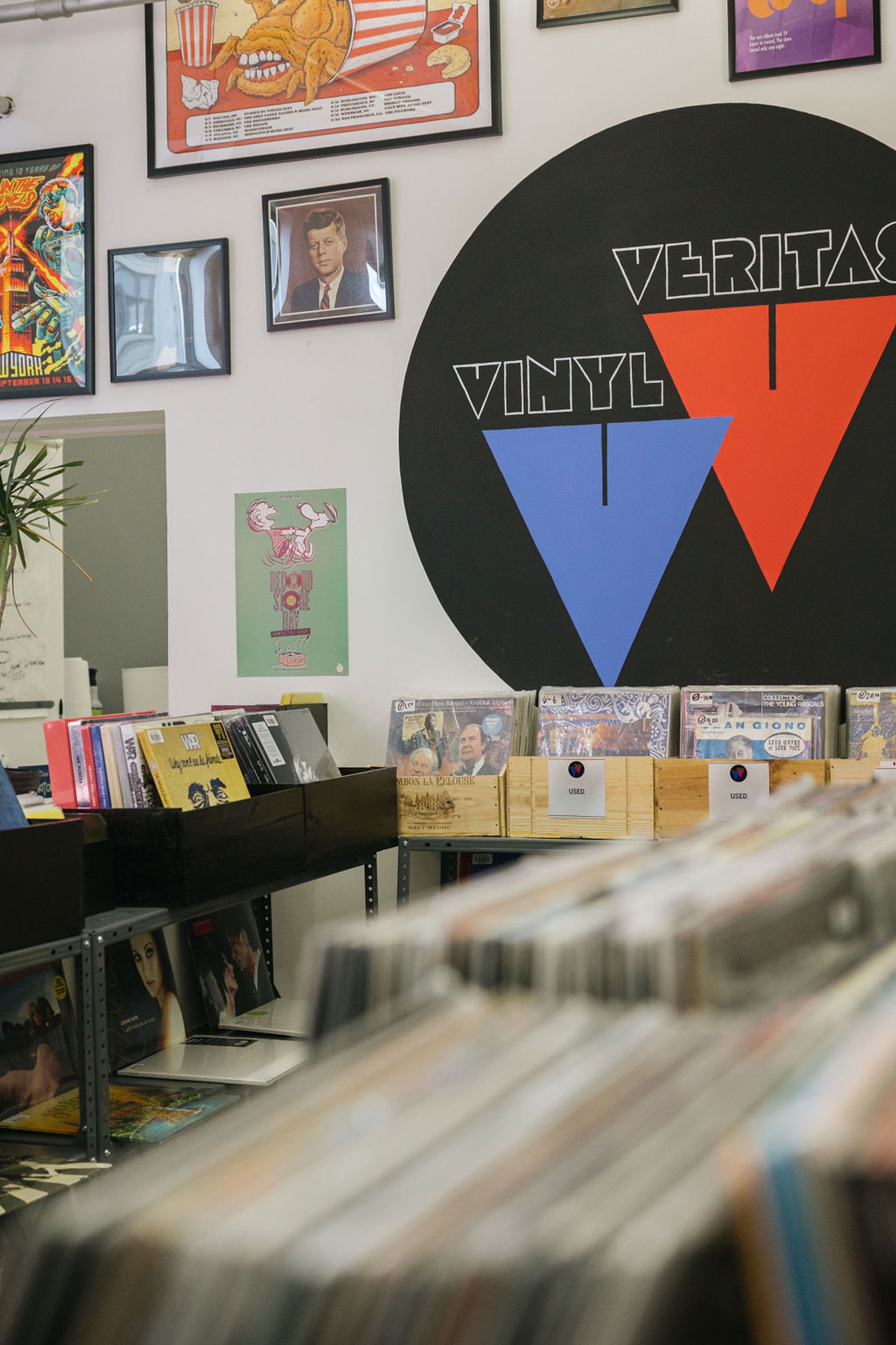 Vinyl records displayed on racks in front of a Vinyl Veritas sign
