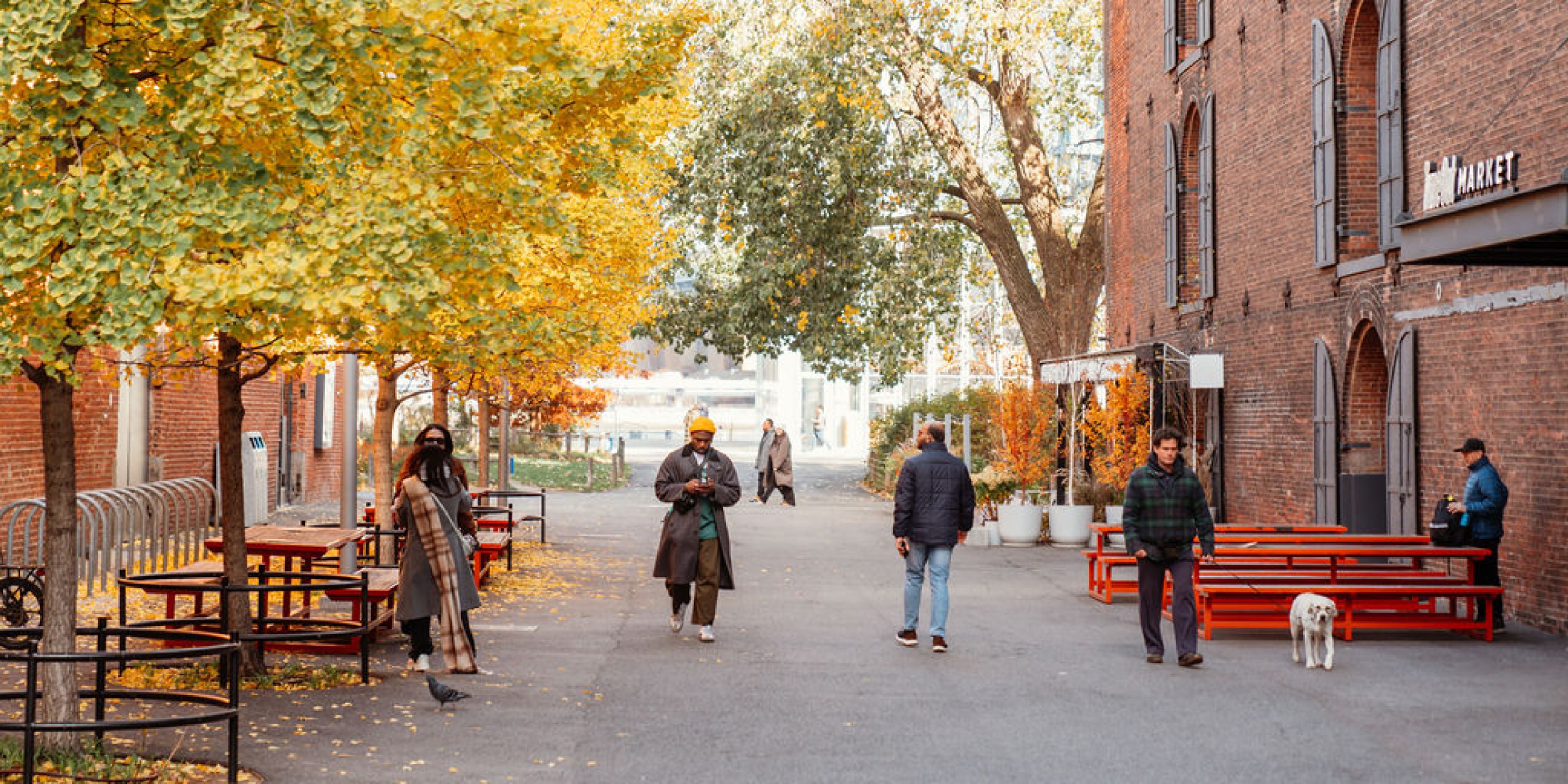 Man walking on cell phone on fall city street in Dumbo Brooklyn