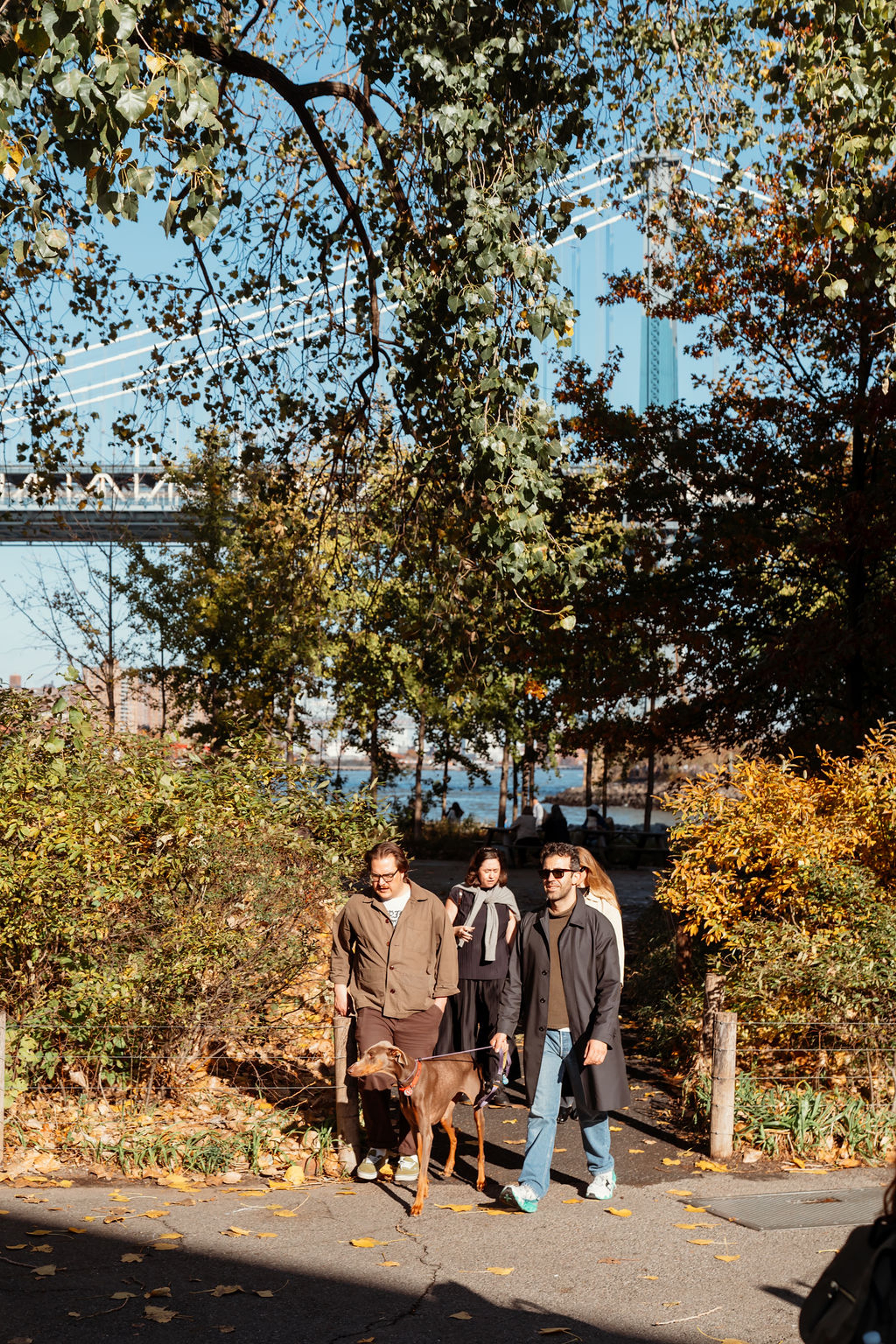 Brooklyn Bridge Park