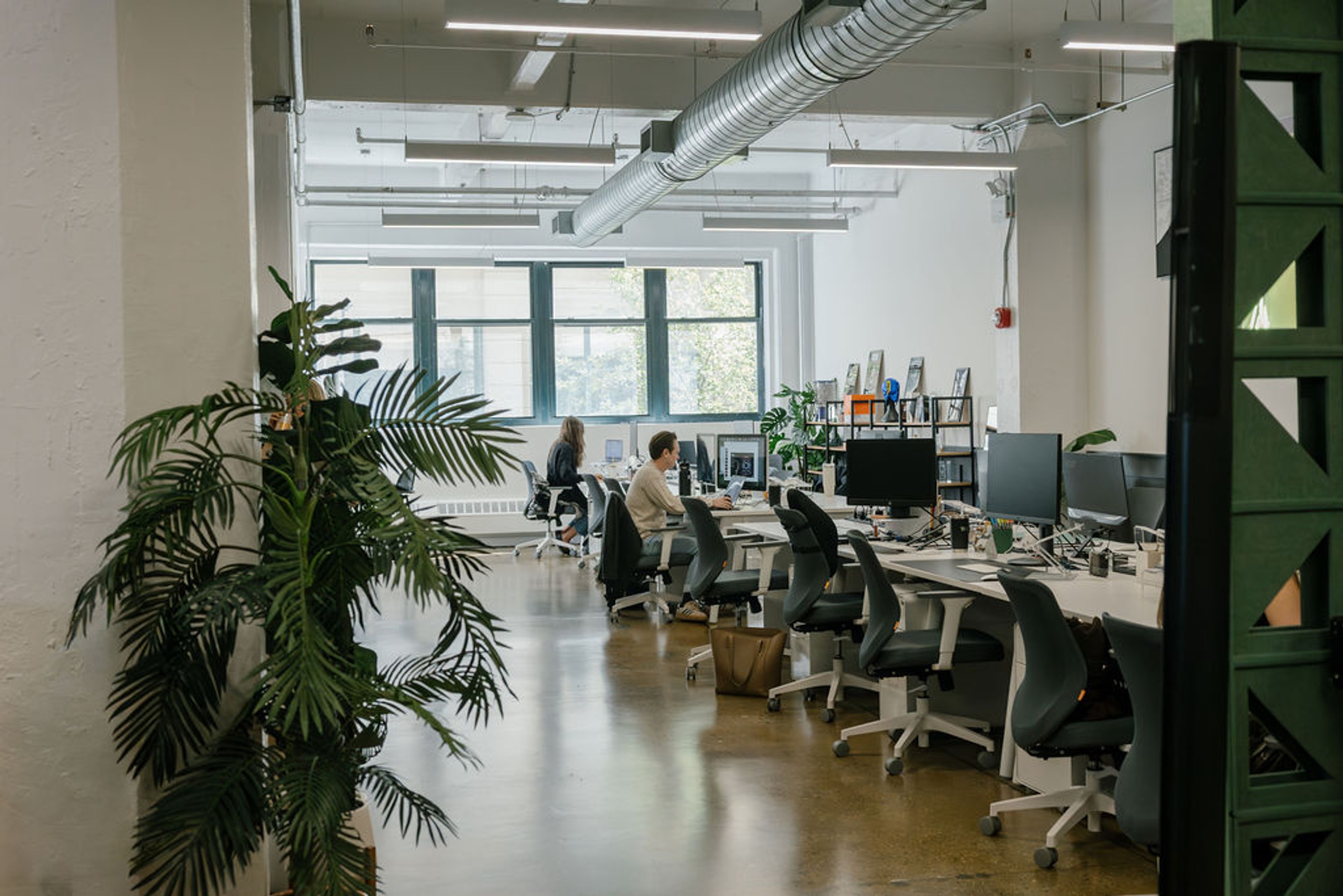 People working at a row of desks with bright windows in the background