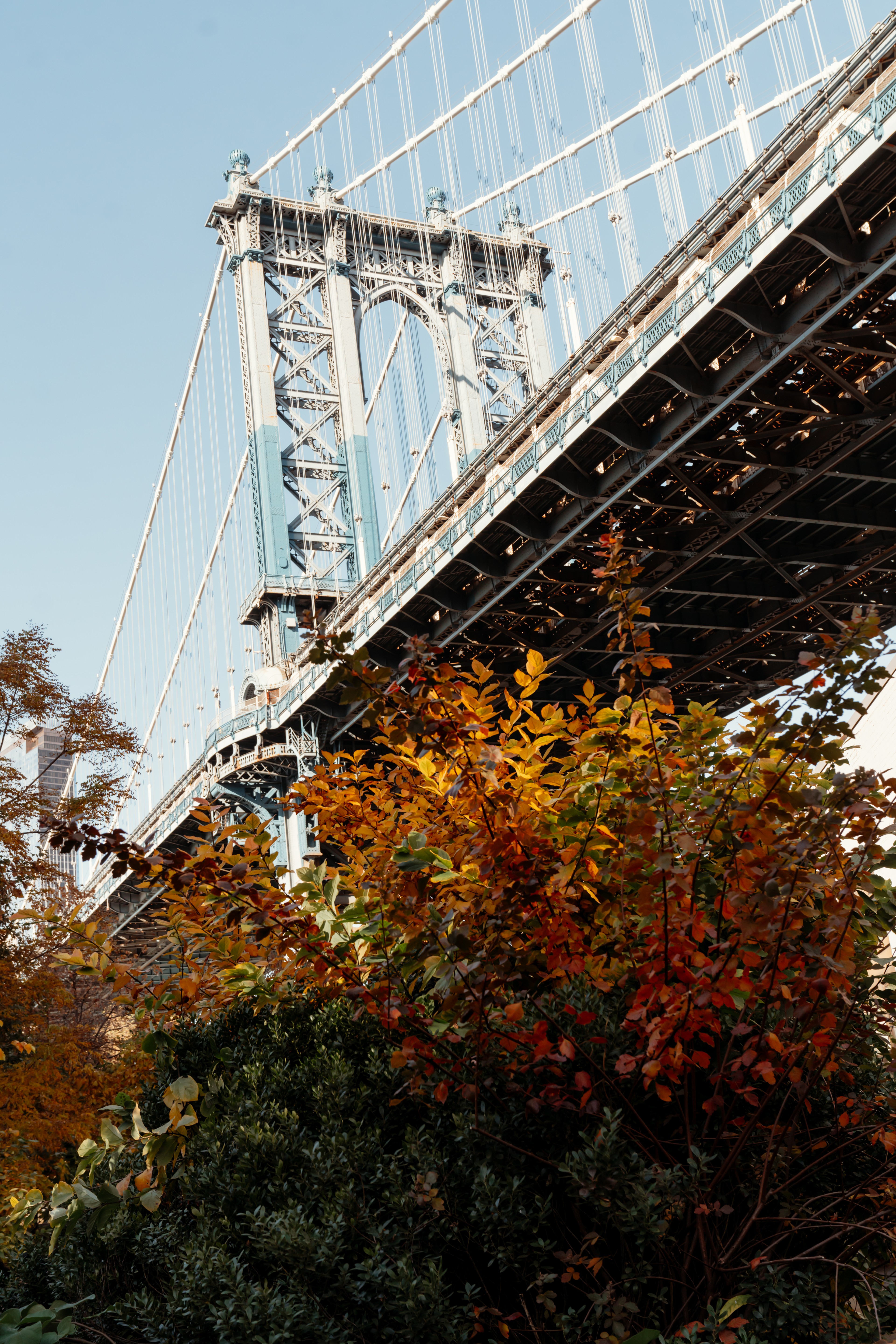 People eating outside