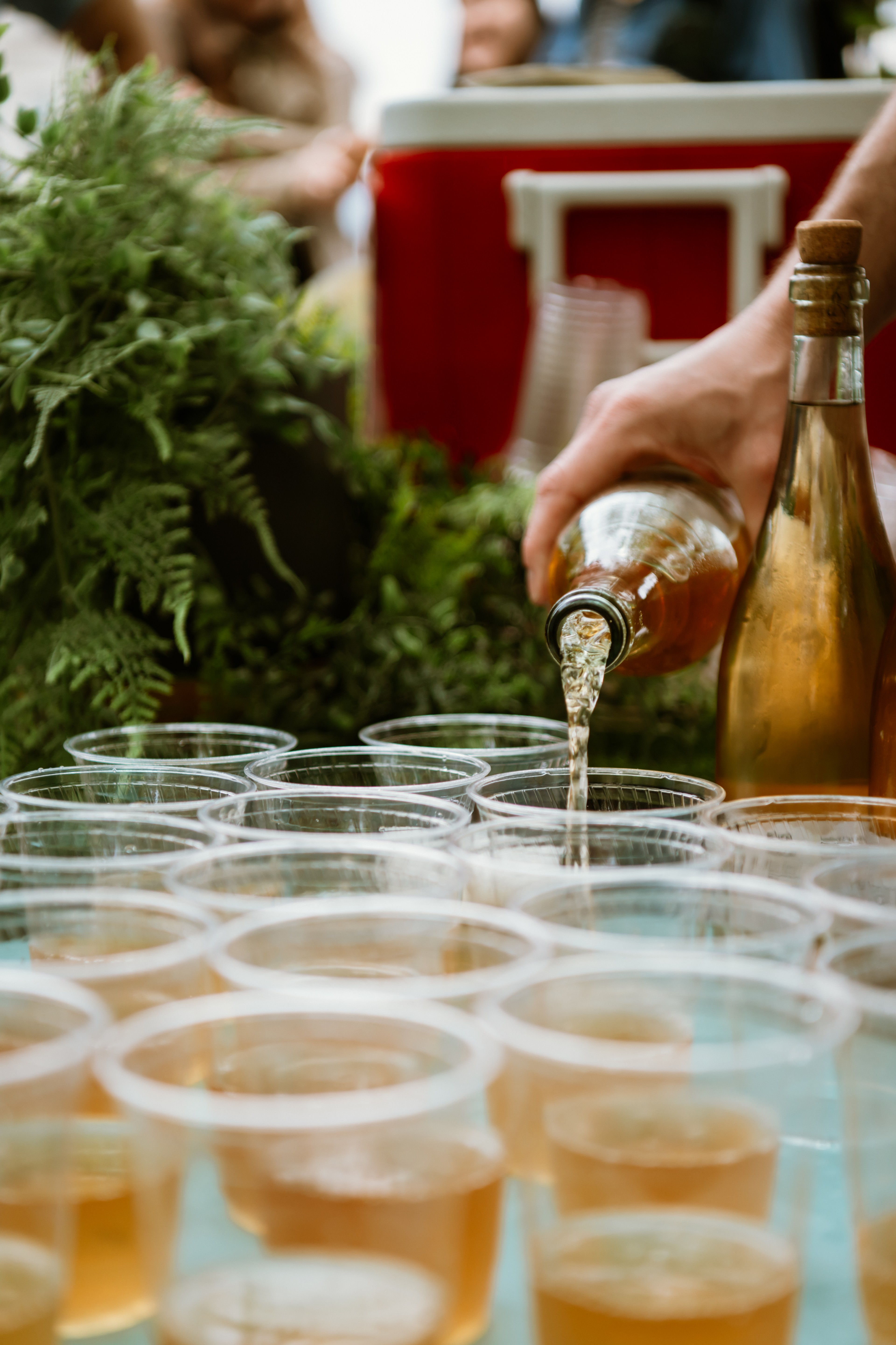 wine being poured into cups