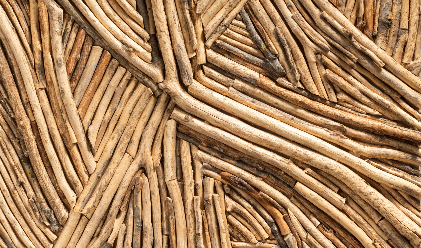 Treobjekt med mange korte trekvister som danner mønstre i flaten.