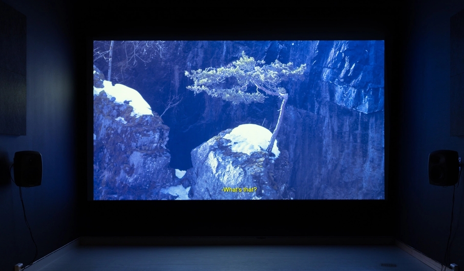 Mørkt rom med videoskjerm som viser et tre i fjellet