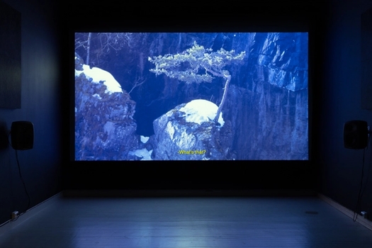 Mørkt rom med videoskjerm som viser et tre i fjellet