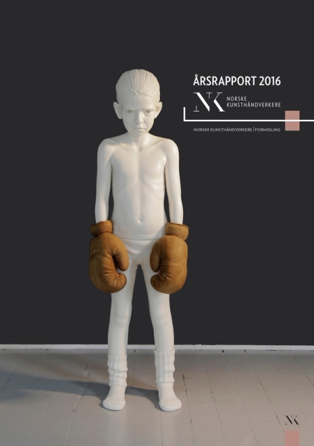 Cover for NKs Årsrapport 2016.