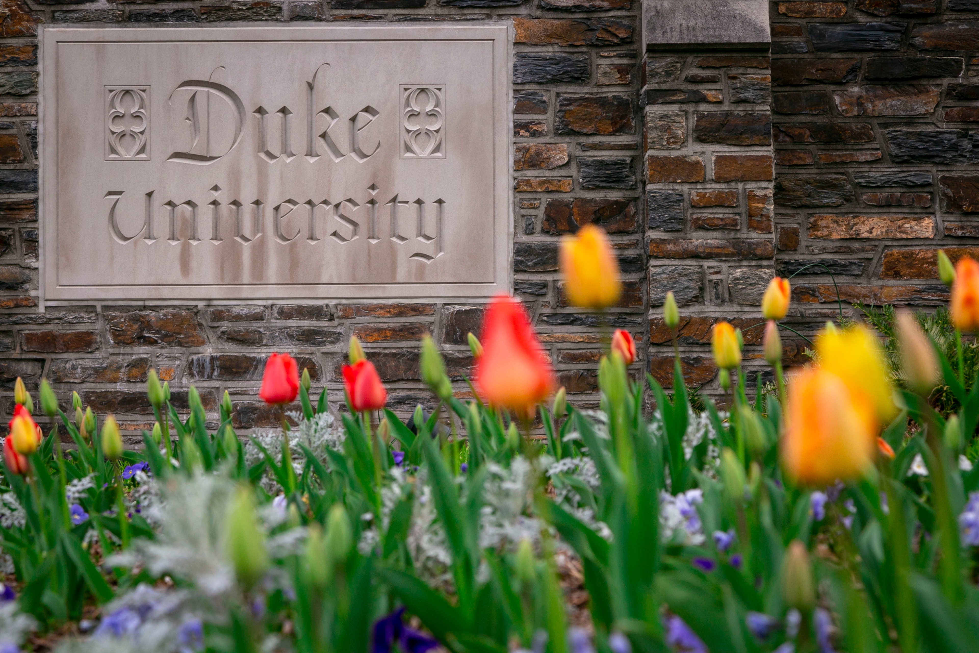 an image of Duke chapel