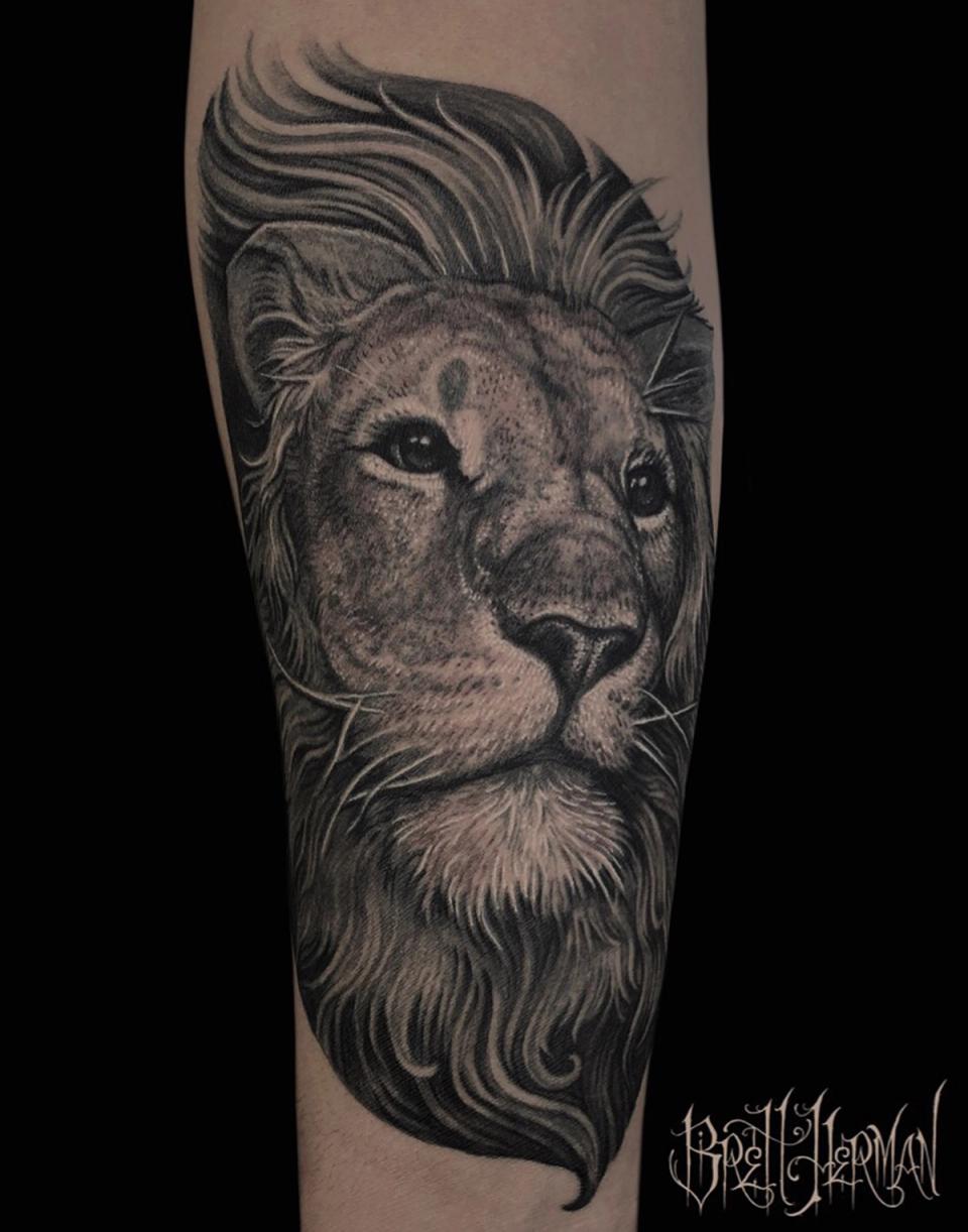 BNG Lion ForeArm tattoo