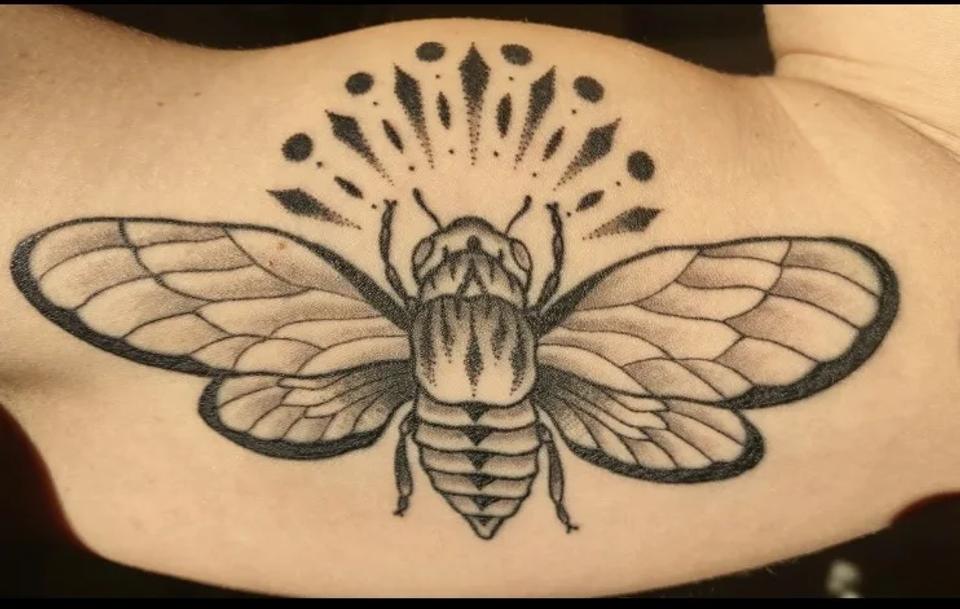 Fly tattoo