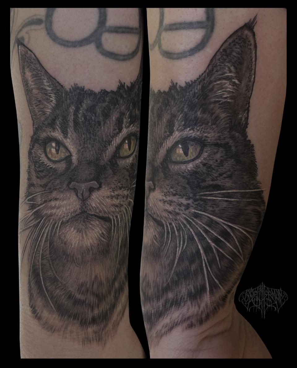 Cat portrait small tattoo
