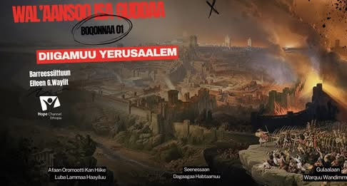 Wal’aansoo Isa Guddaa