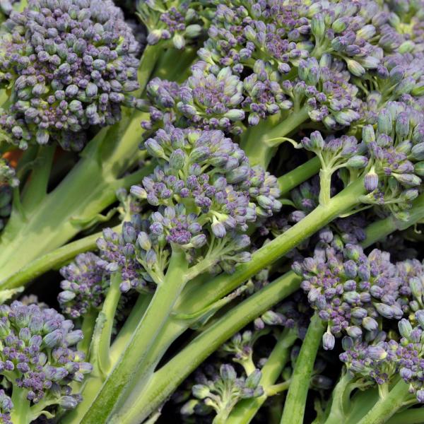 Vegetables | Our Products | Manor Fresh