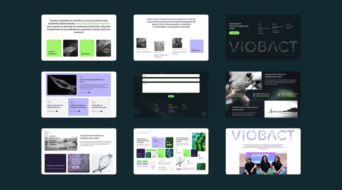 Diseño web VIOBACT