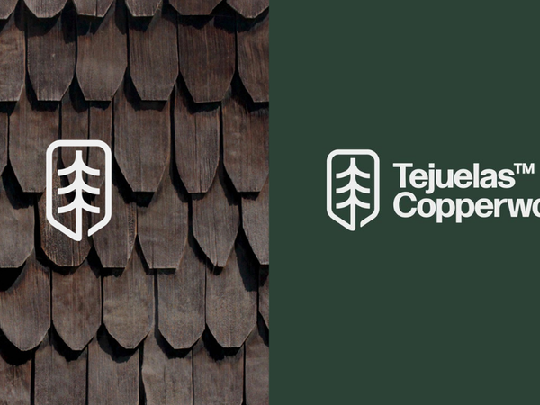 Transformación Creativa: El Rebranding Como Motor de Evolución para Marcas