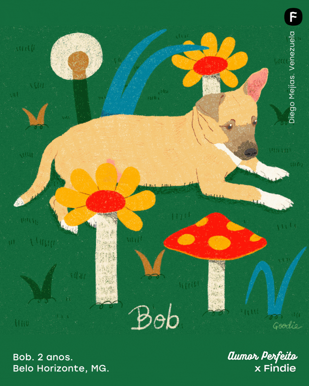 Bob, perro de 2 años de Belo Horizonte, ilustrado por Diego Mejías para la campaña Aumor Perfeito x Findie