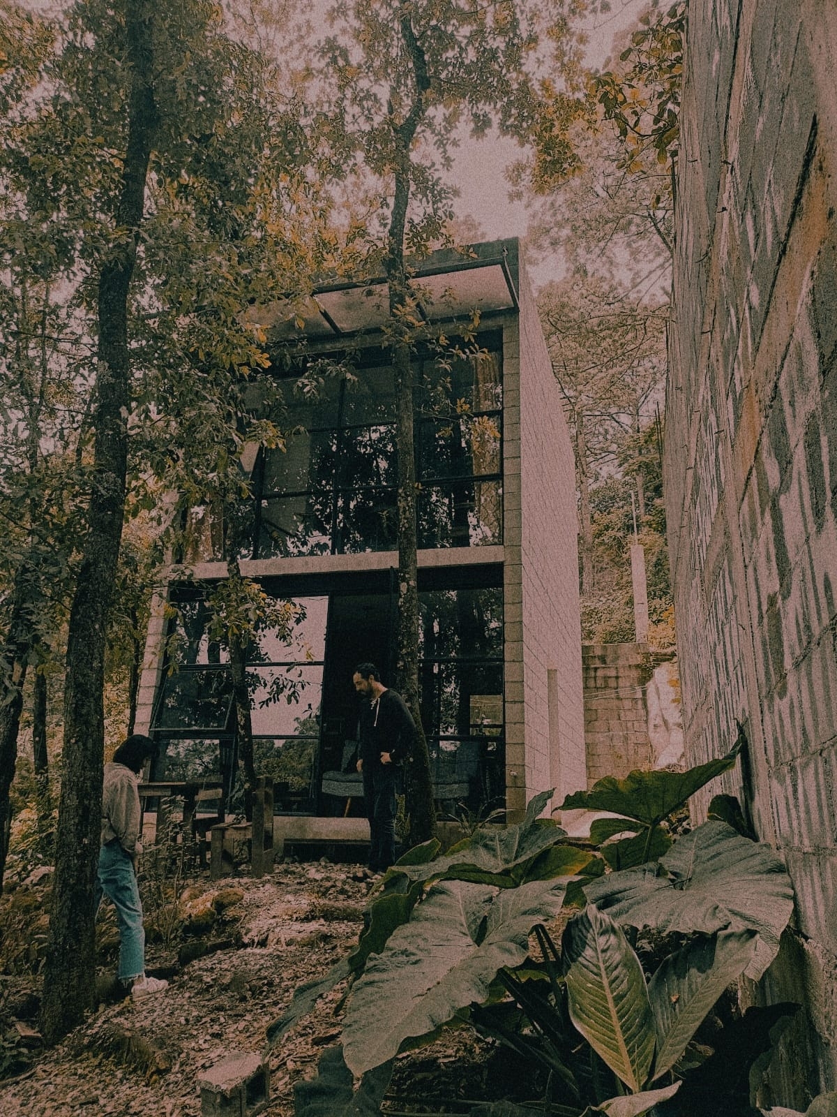 Exterior del estudio rodeado de árboles - espacio de trabajo de Ana y César de Estudio Ser