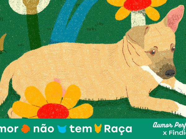 Aumor não tem raça: Creatividad con causa para un mundo con menos abandono