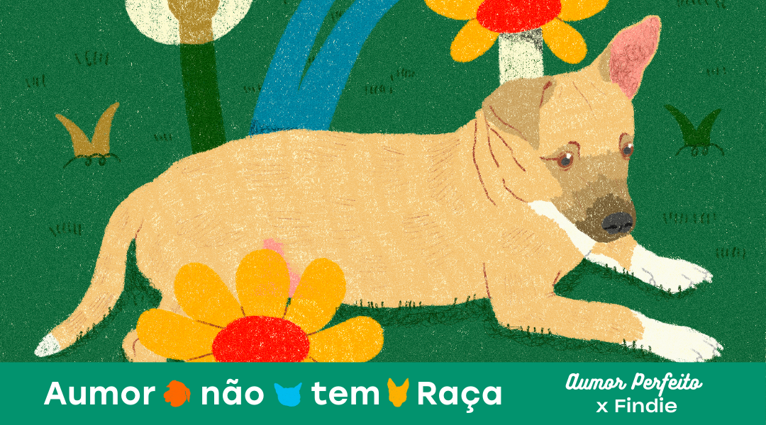 Aumor não tem raça: Creatividad con causa para un mundo con menos abandono