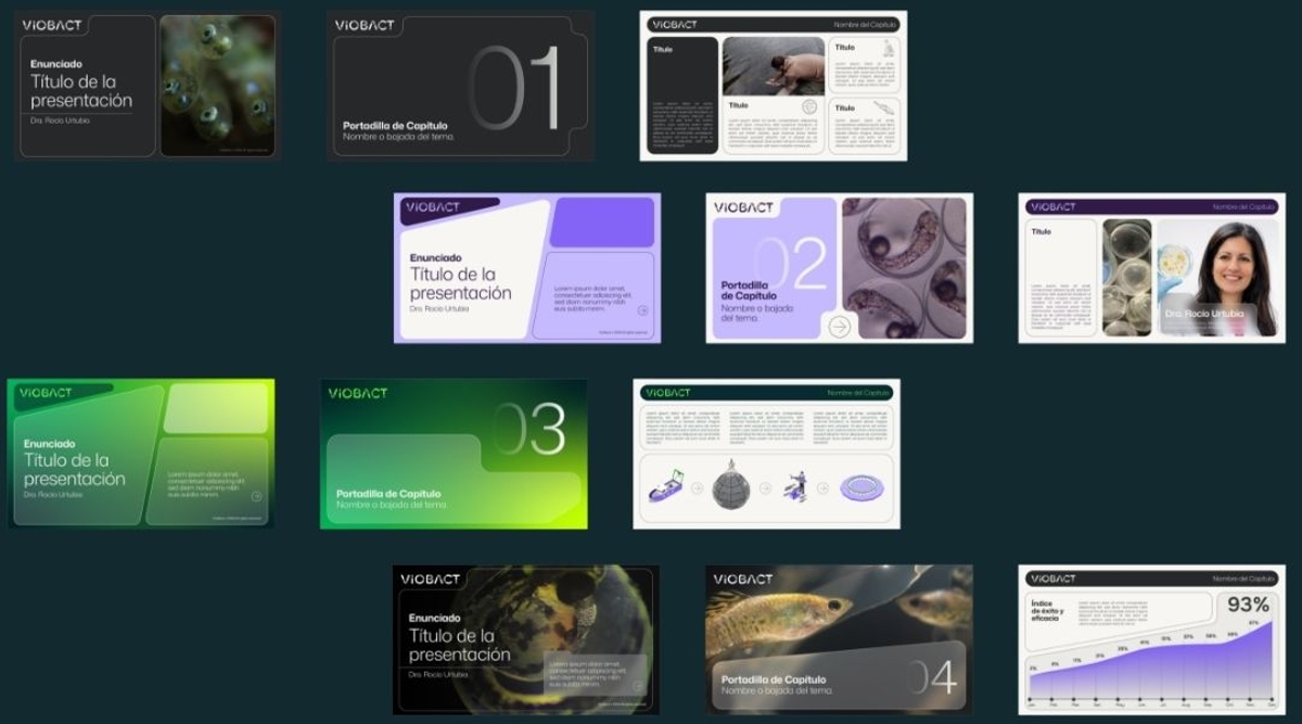 VIOBACT assets
