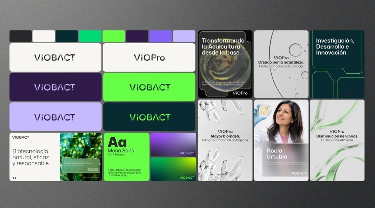 Sistema visual VIOBACT
