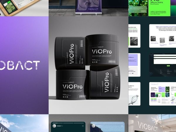 Viobact: cómo un equipo de científicas chilenas construyó una marca que traduce ciencia en confianza