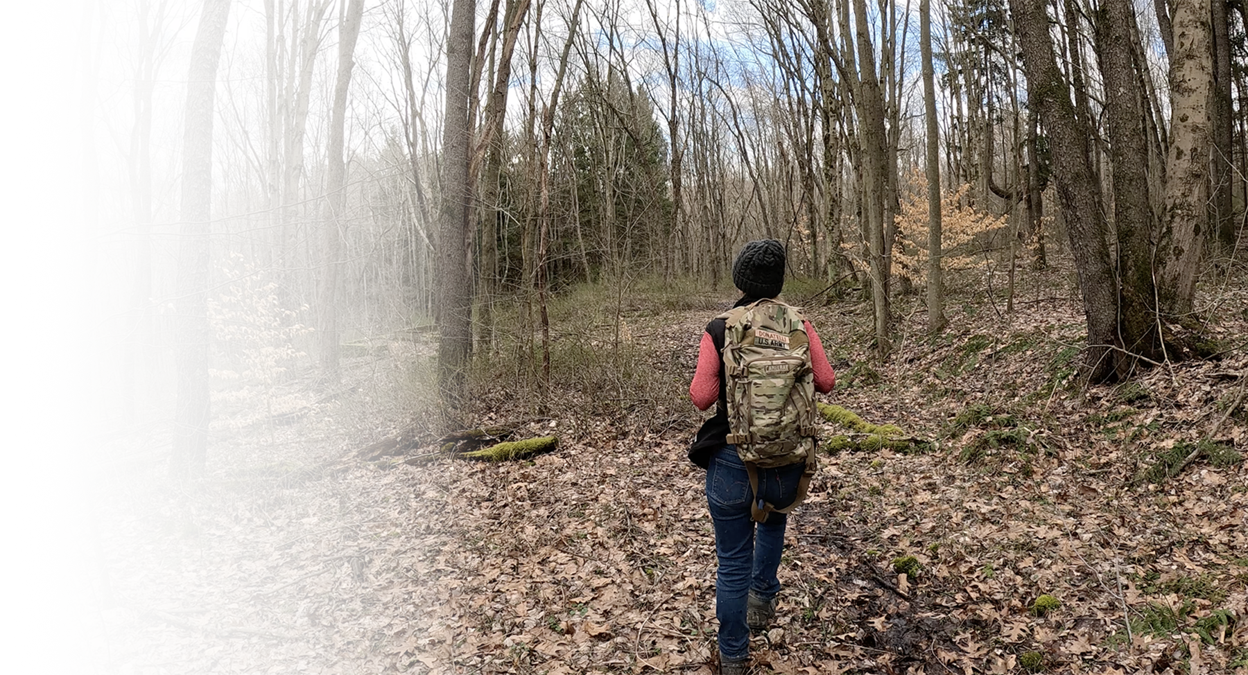 One person walking through the woods