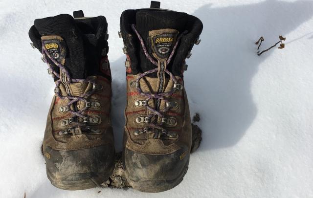 Boots in the woods