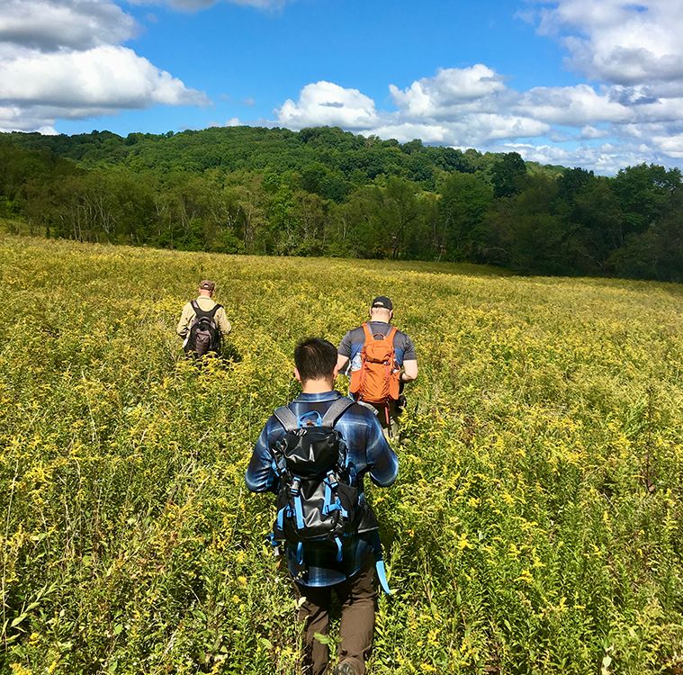 Basic Land Navigation