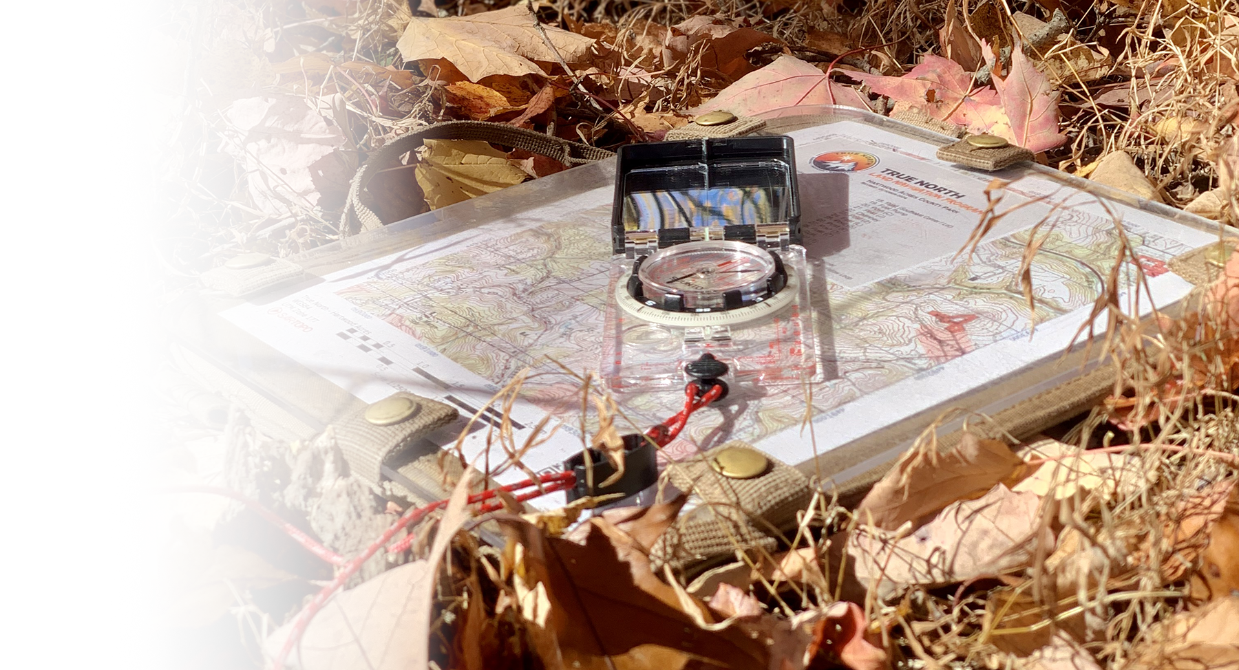 Photograph of a map and compass in the woods in Autumn