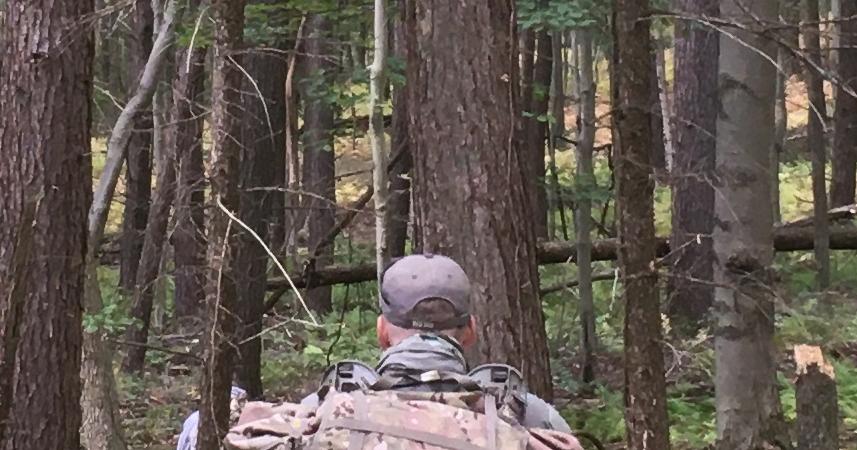 SOF Overland Development