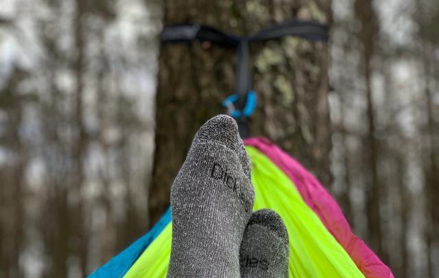Survivor v. Survivalist: What’s the Difference?