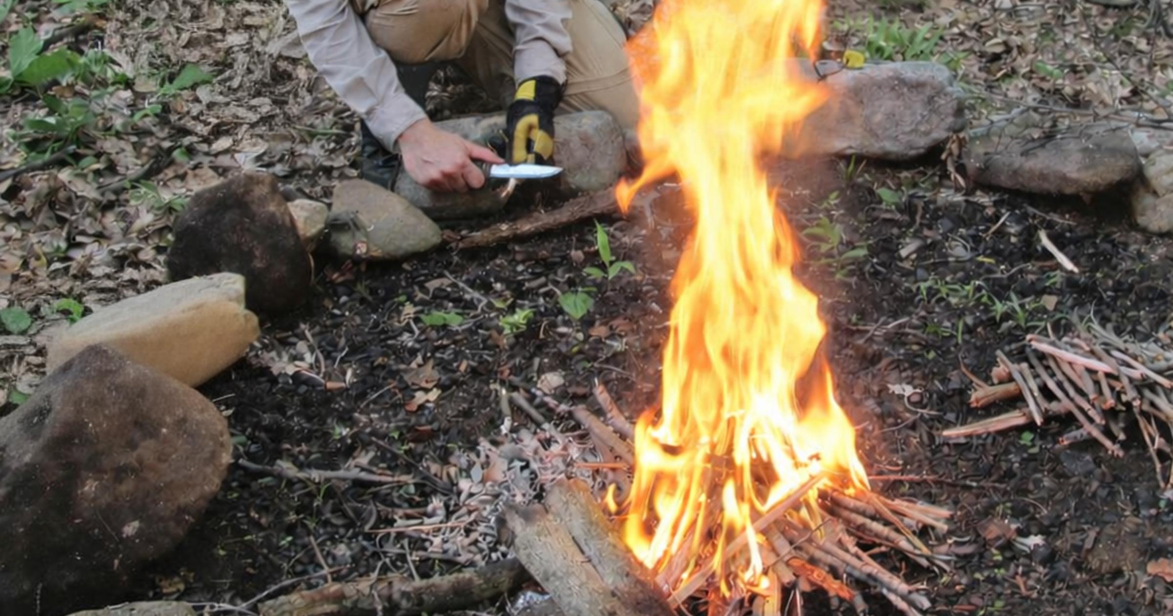 Wilderness Survival 101