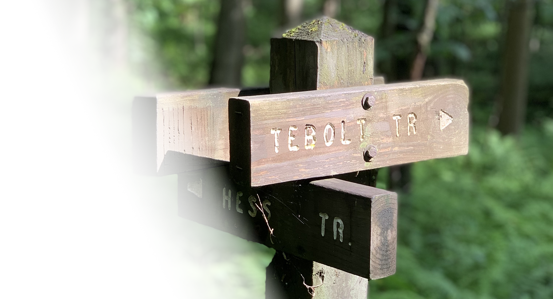 Photograph of a Trail Marker