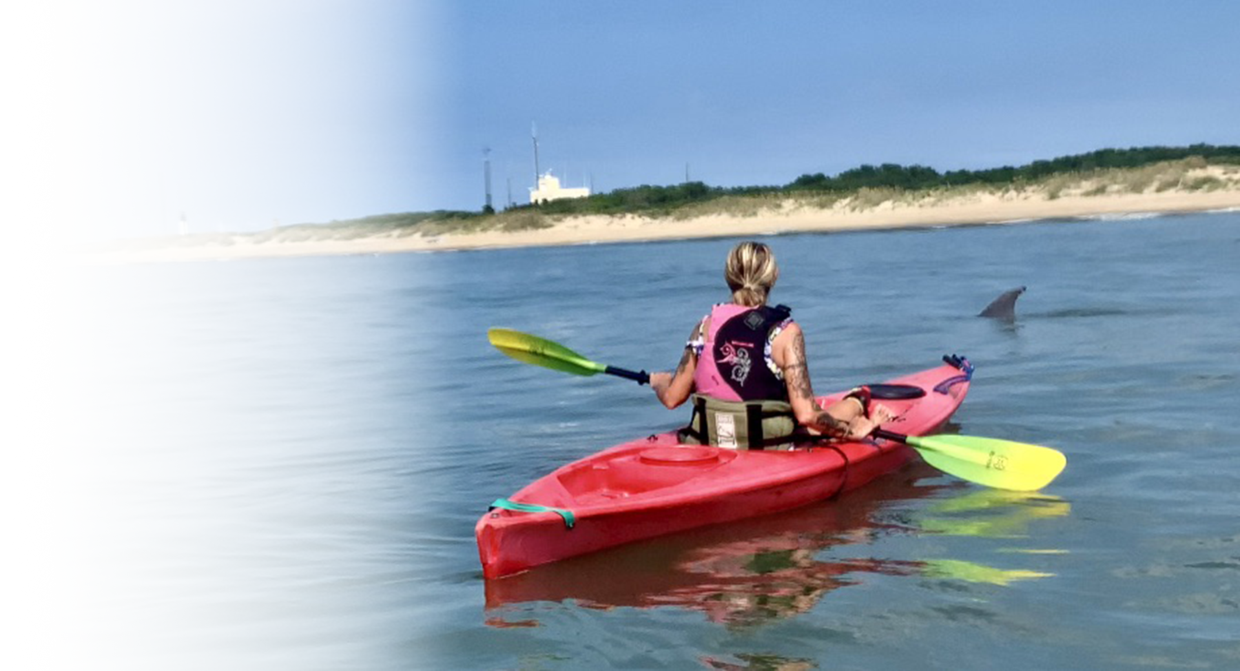 Woman in a Kayak paddling on the ocean near a dolphin