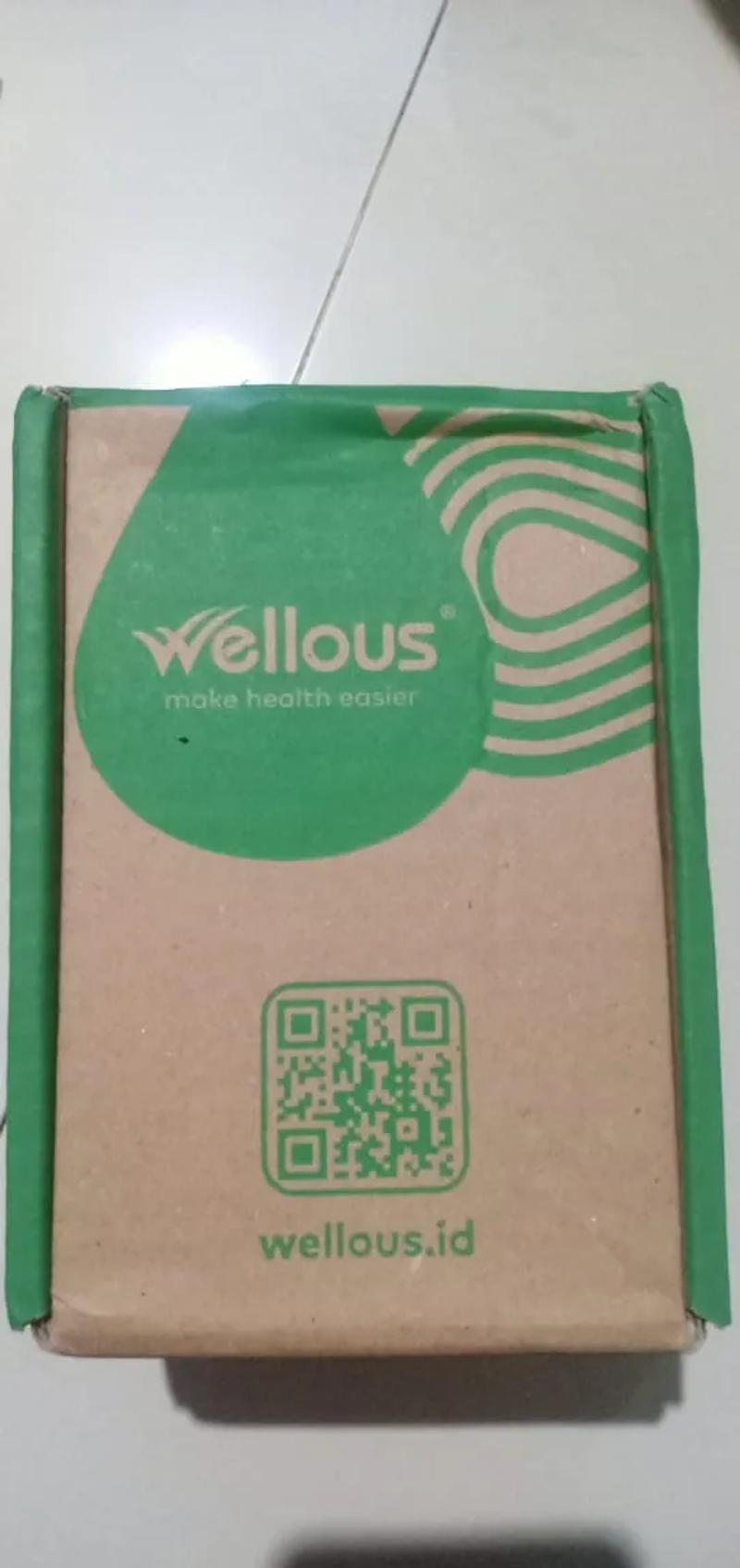 Box pengiriman resmi Wellous berwarna coklat kraft dengan logo hijau dan QR code wellous.id