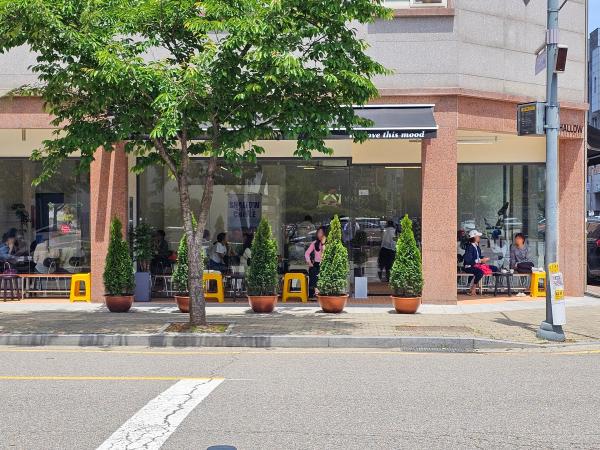샬로우커피 김포점