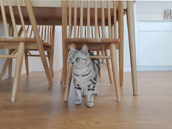 라일락마을신성미소지움아파트 31