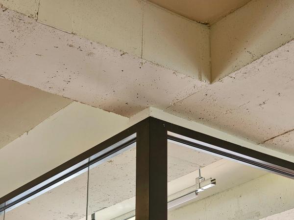 샬로우커피 하남미사점 33