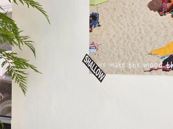 샬로우커피 동탄점 4