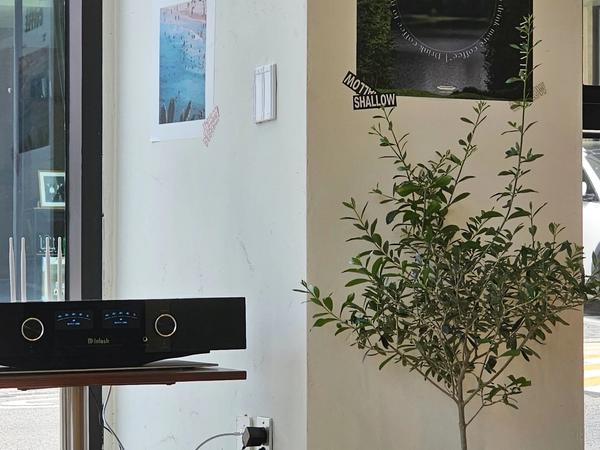 샬로우커피 동탄점 20