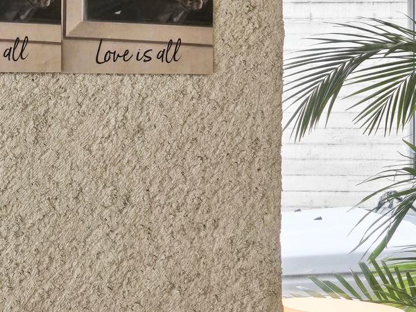 샬로우커피 안양점 19