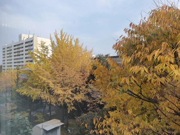 목동신시가지11단지아파트 49