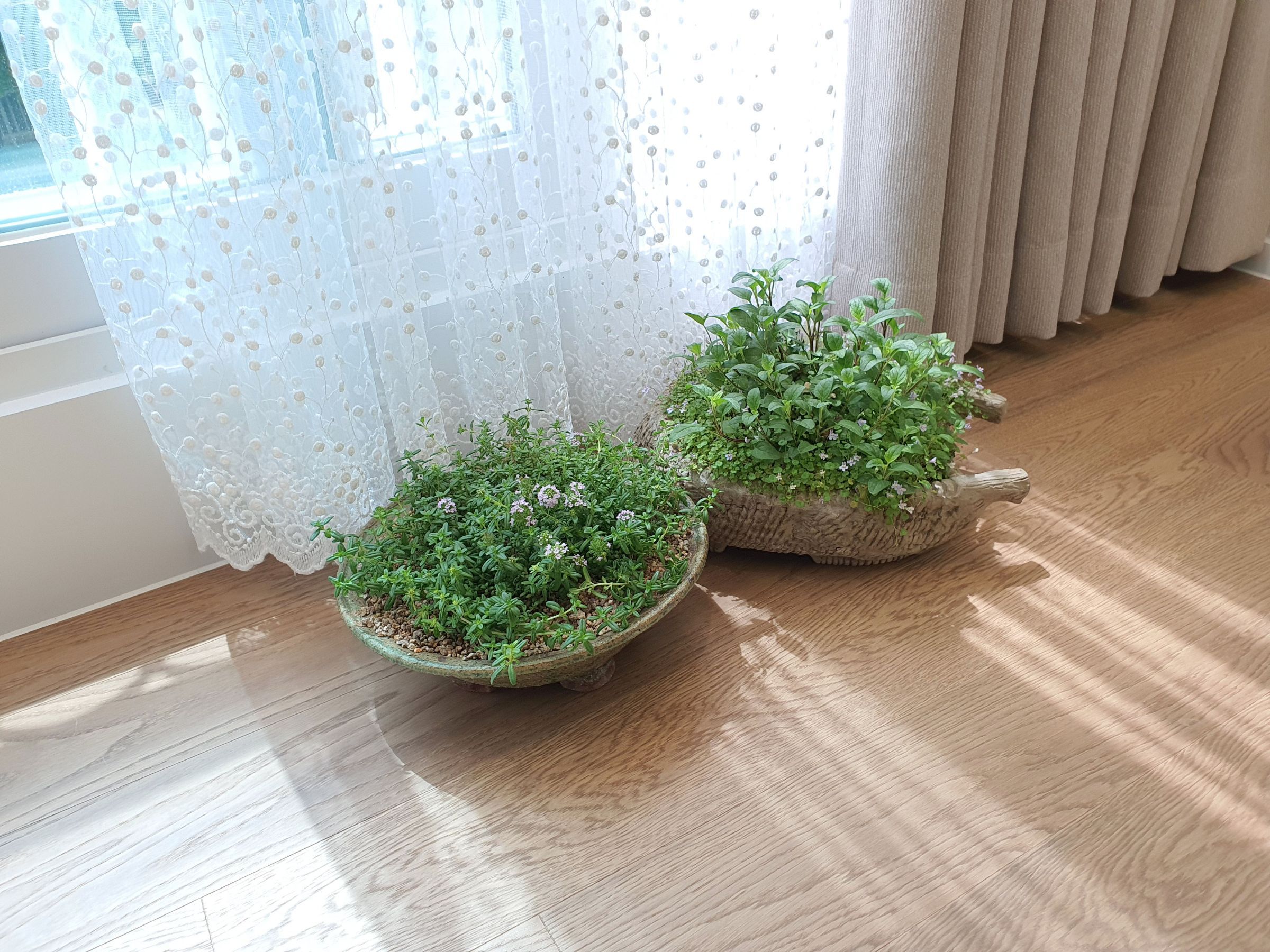 추천 스타일 이미지 3